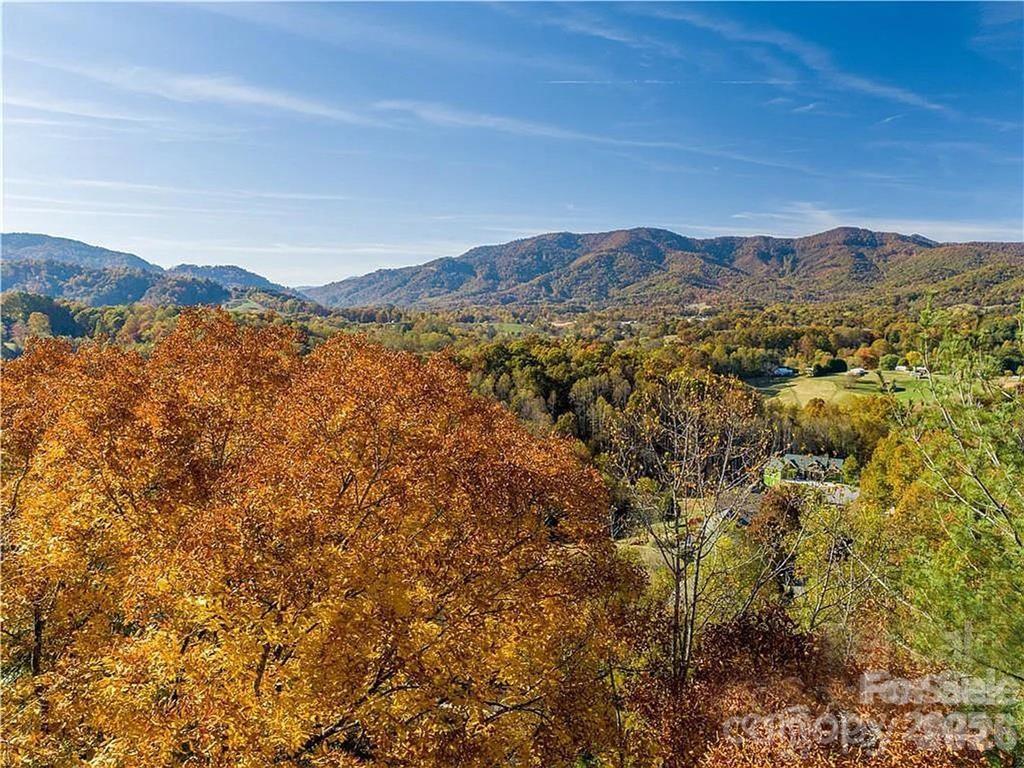 75 S Lindon Cove Road Candler NC 28715