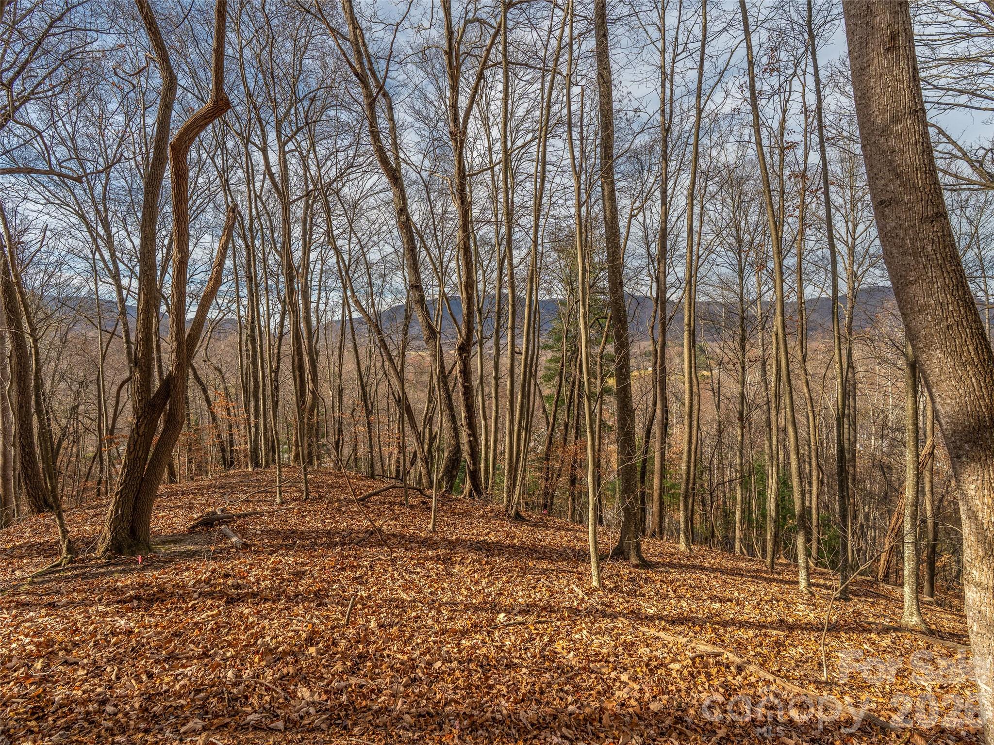 75 S Lindon Cove Road Candler NC 28715