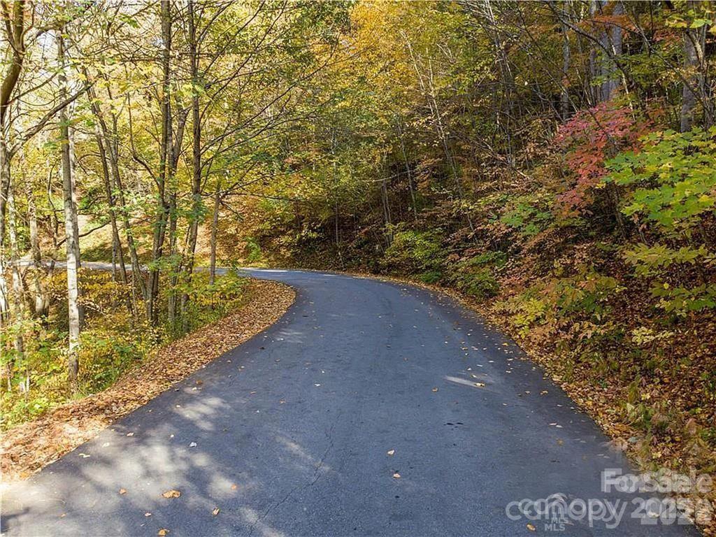 75 S Lindon Cove Road Candler NC 28715