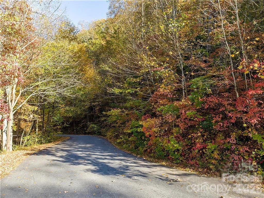 75 S Lindon Cove Road Candler NC 28715