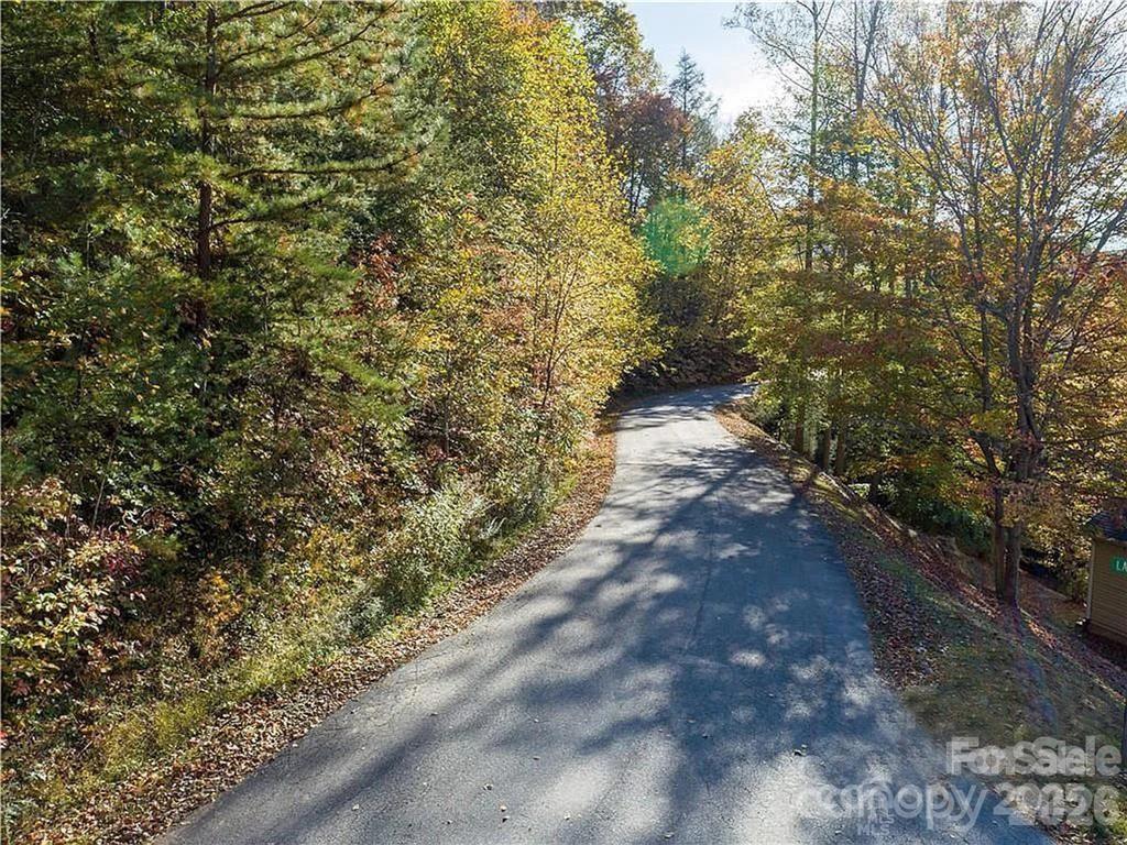 75 S Lindon Cove Road Candler NC 28715