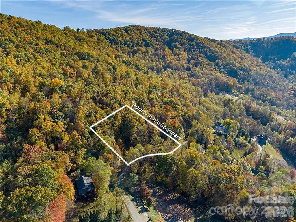 75 S Lindon Cove Road Candler NC 28715