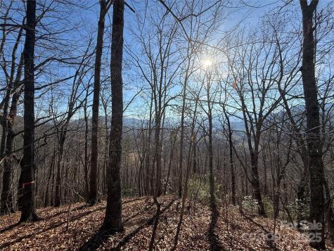 12,13,27 Brer Rabbit Trail Waynesville NC 28785