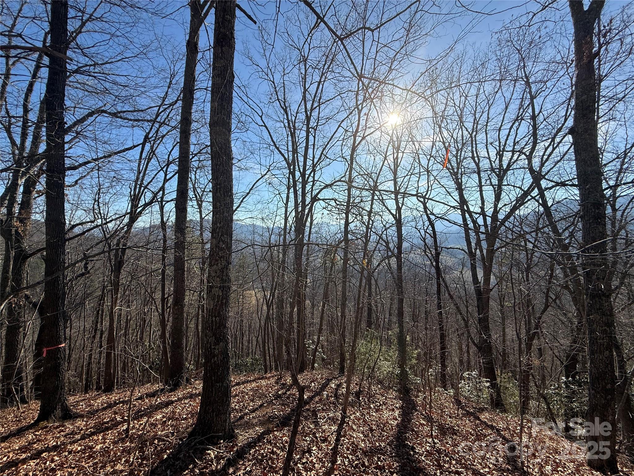 12,13,27 Brer Rabbit Trail Waynesville NC 28785