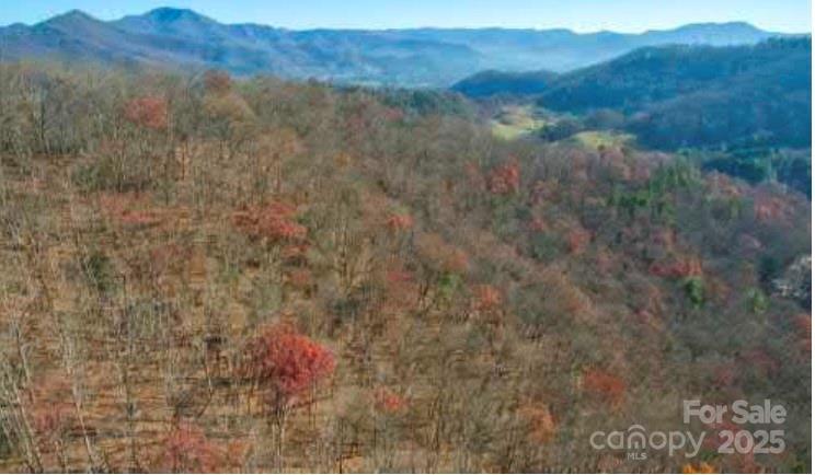 12,13,27 Brer Rabbit Trail Waynesville NC 28785
