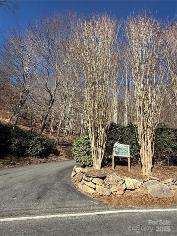 12,13,27 Brer Rabbit Trail Waynesville NC 28785