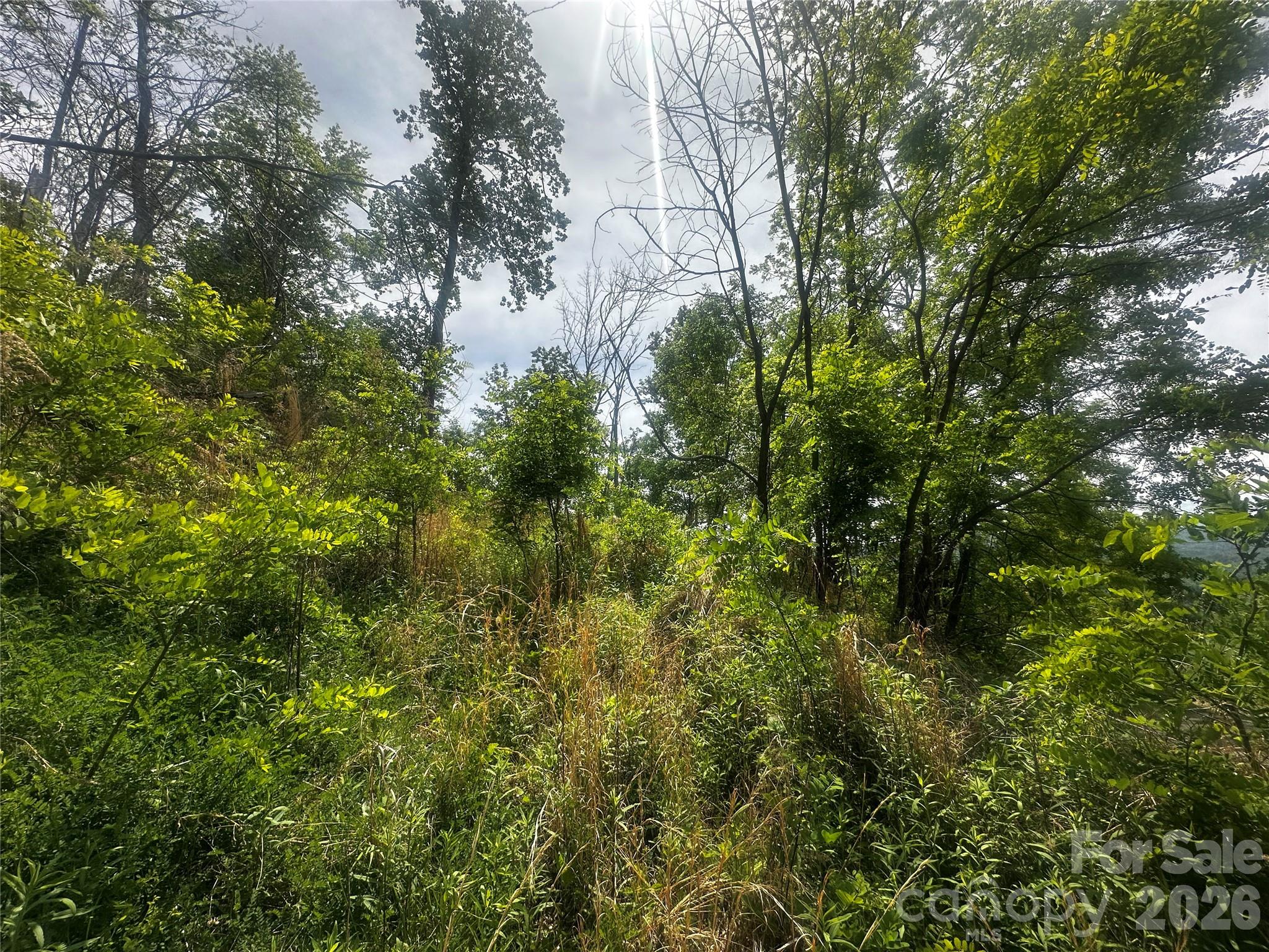 00 John Sparks Road Bakersville NC 28705
