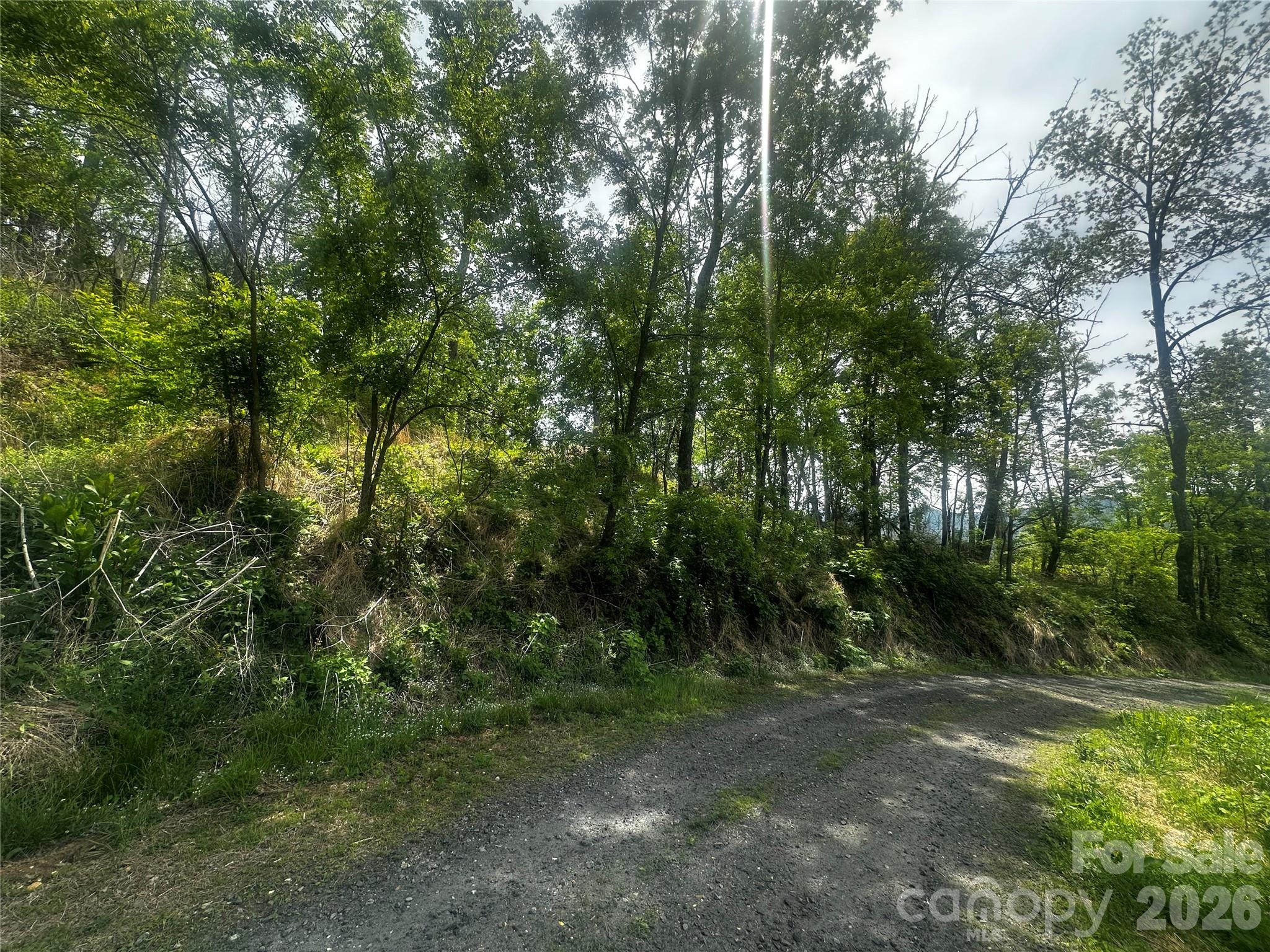 00 John Sparks Road Bakersville NC 28705
