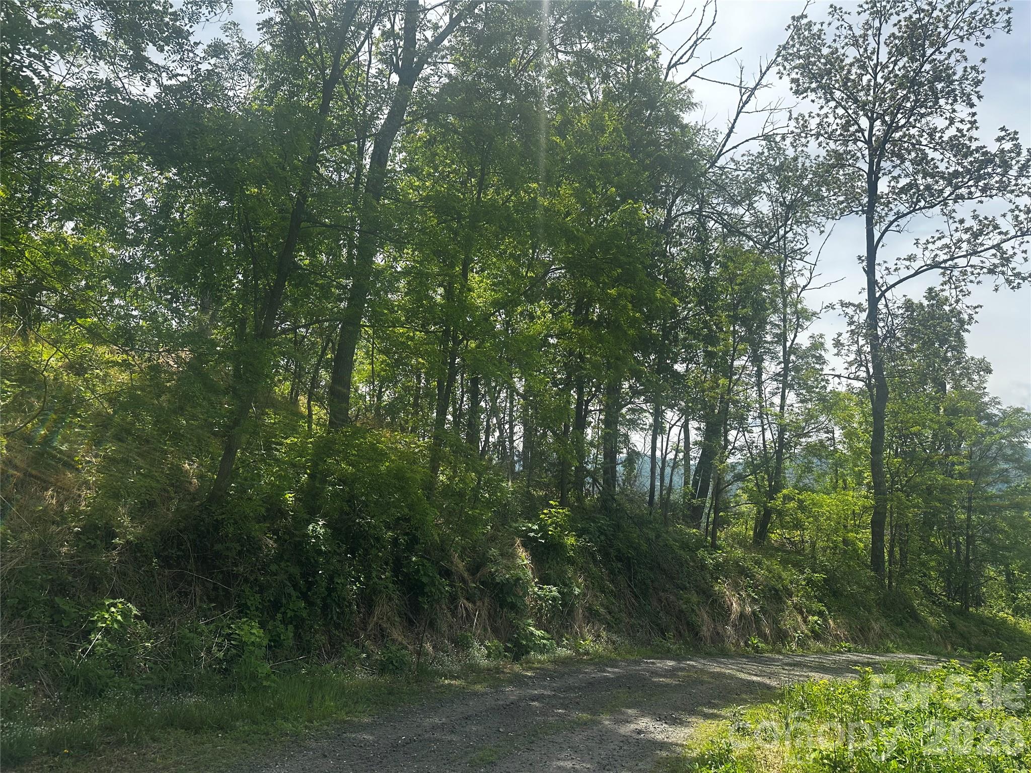 00 John Sparks Road Bakersville NC 28705