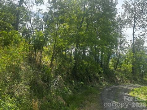 00 John Sparks Road Bakersville NC 28705