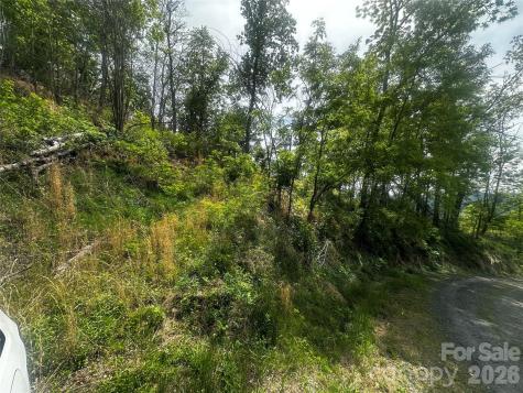 00 John Sparks Road Bakersville NC 28705
