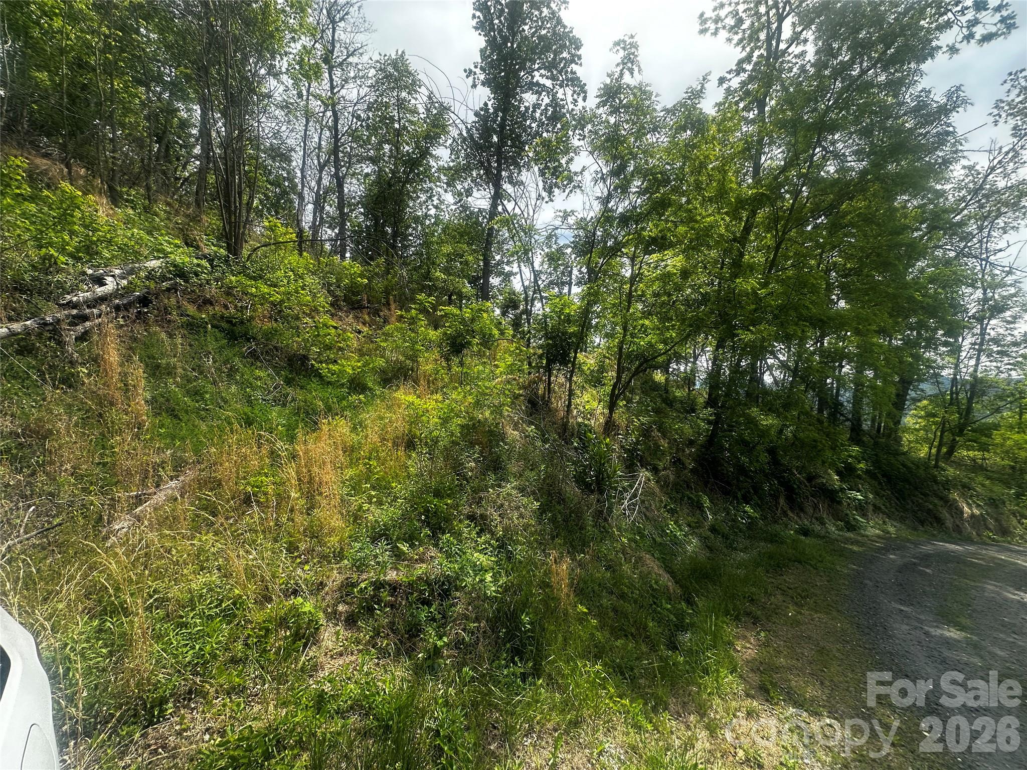00 John Sparks Road Bakersville NC 28705