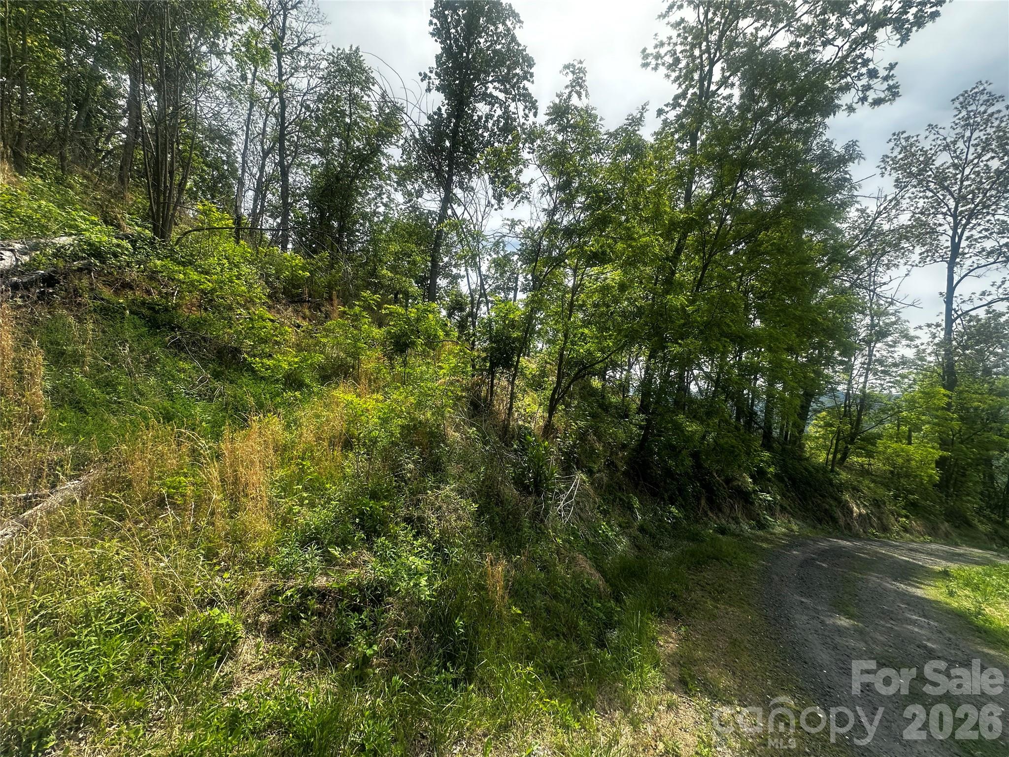 00 John Sparks Road Bakersville NC 28705