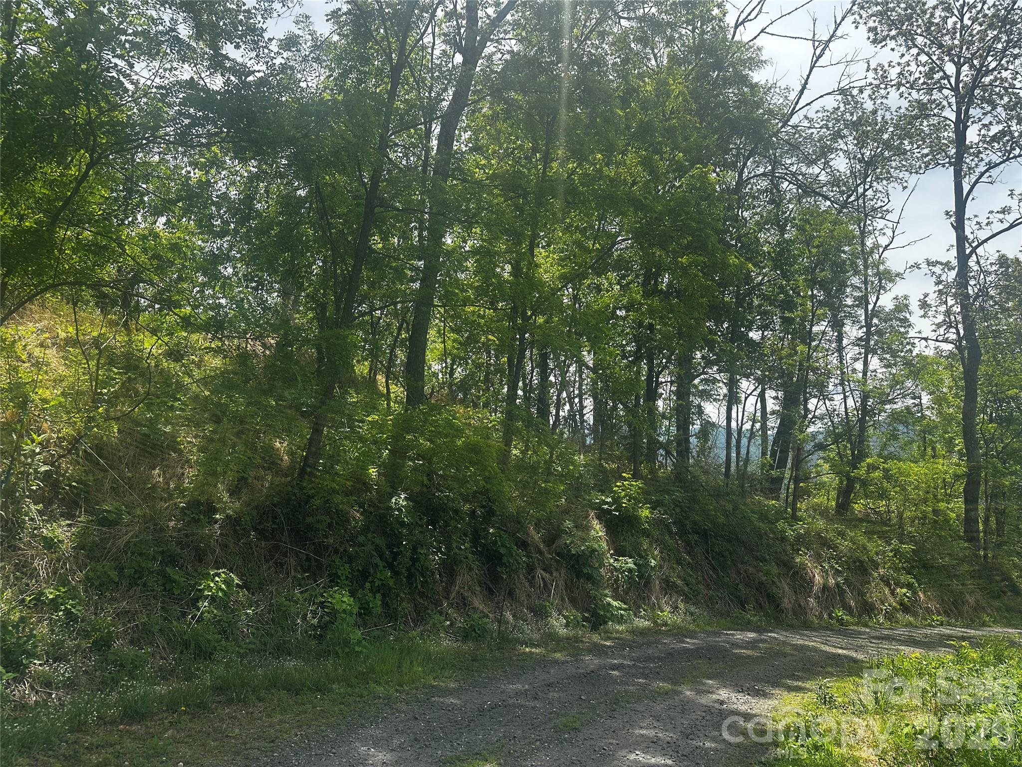 00 John Sparks Road Bakersville NC 28705