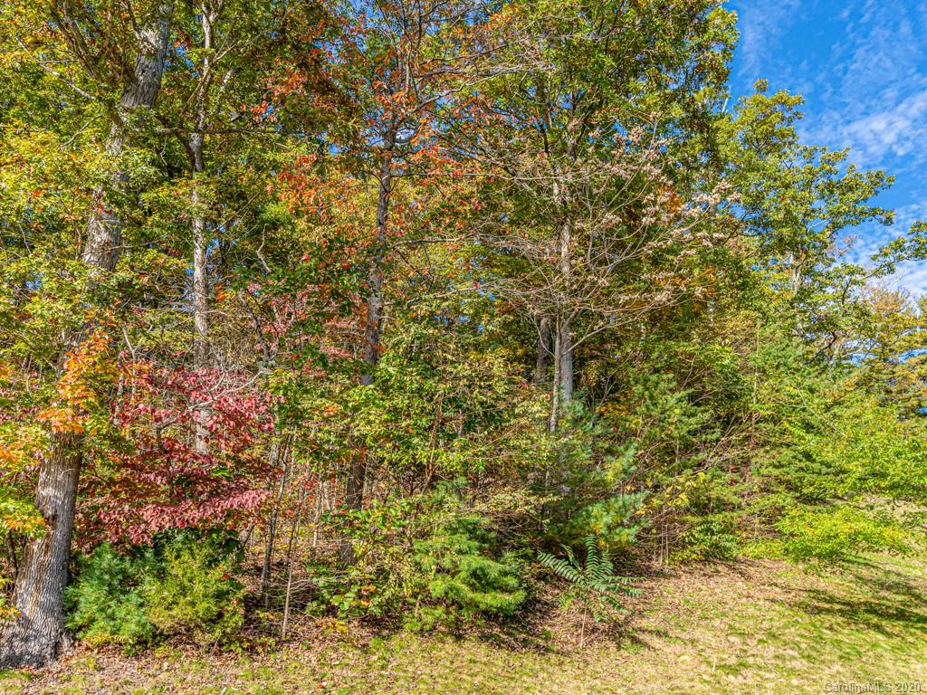 56 Boulder Creek Way Asheville NC 28805