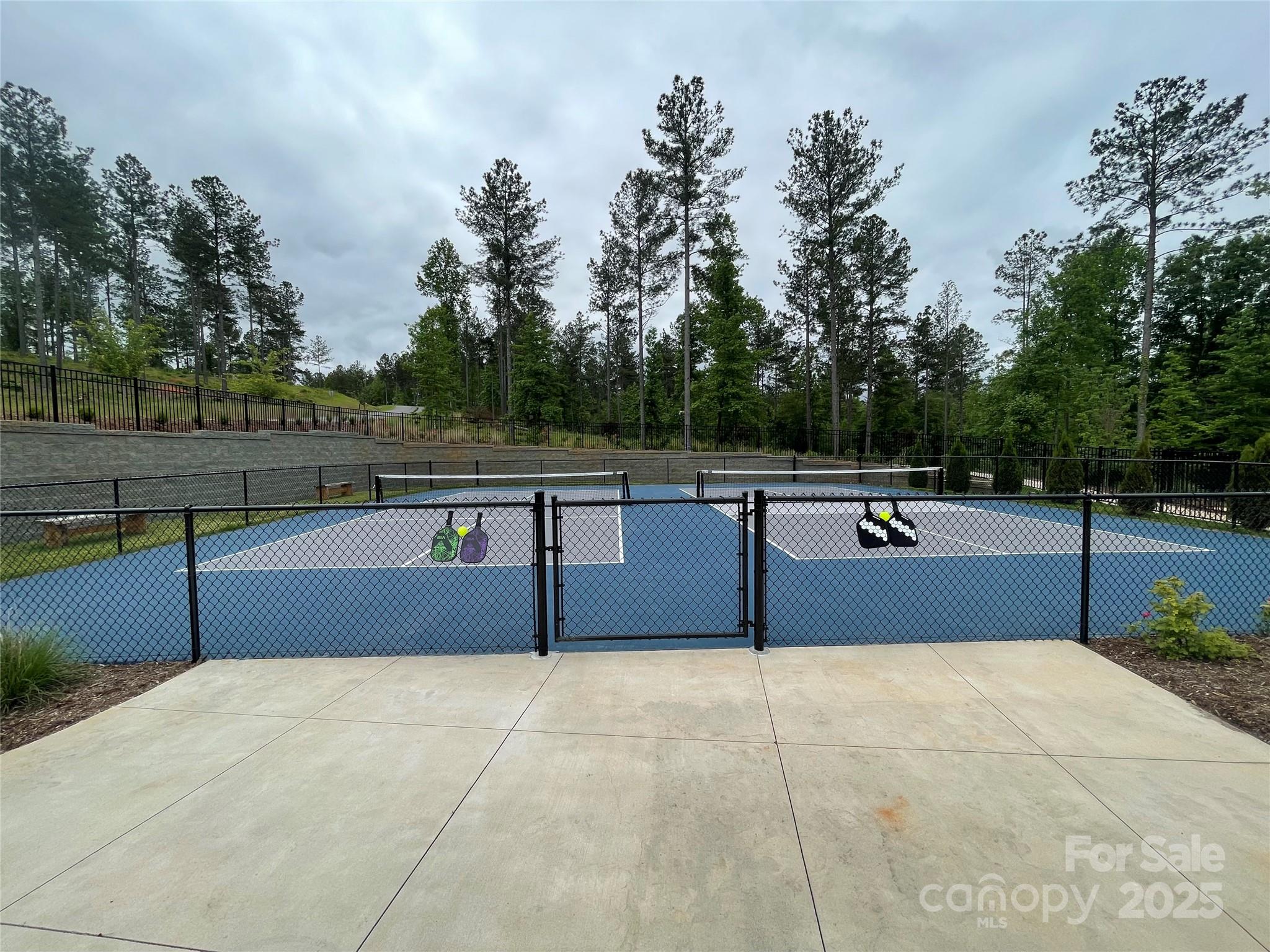 2175 Castle Peak Mountain Connelly Springs NC 28612