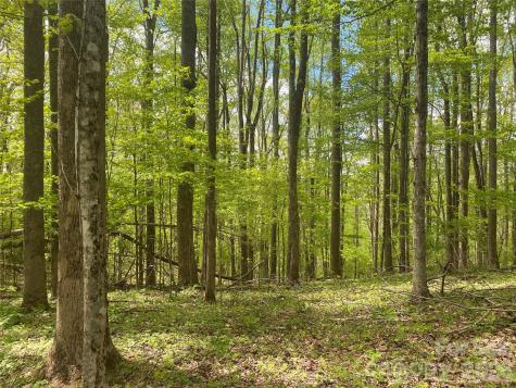 Tbd Us 23 Highway Mars Hill NC 28754