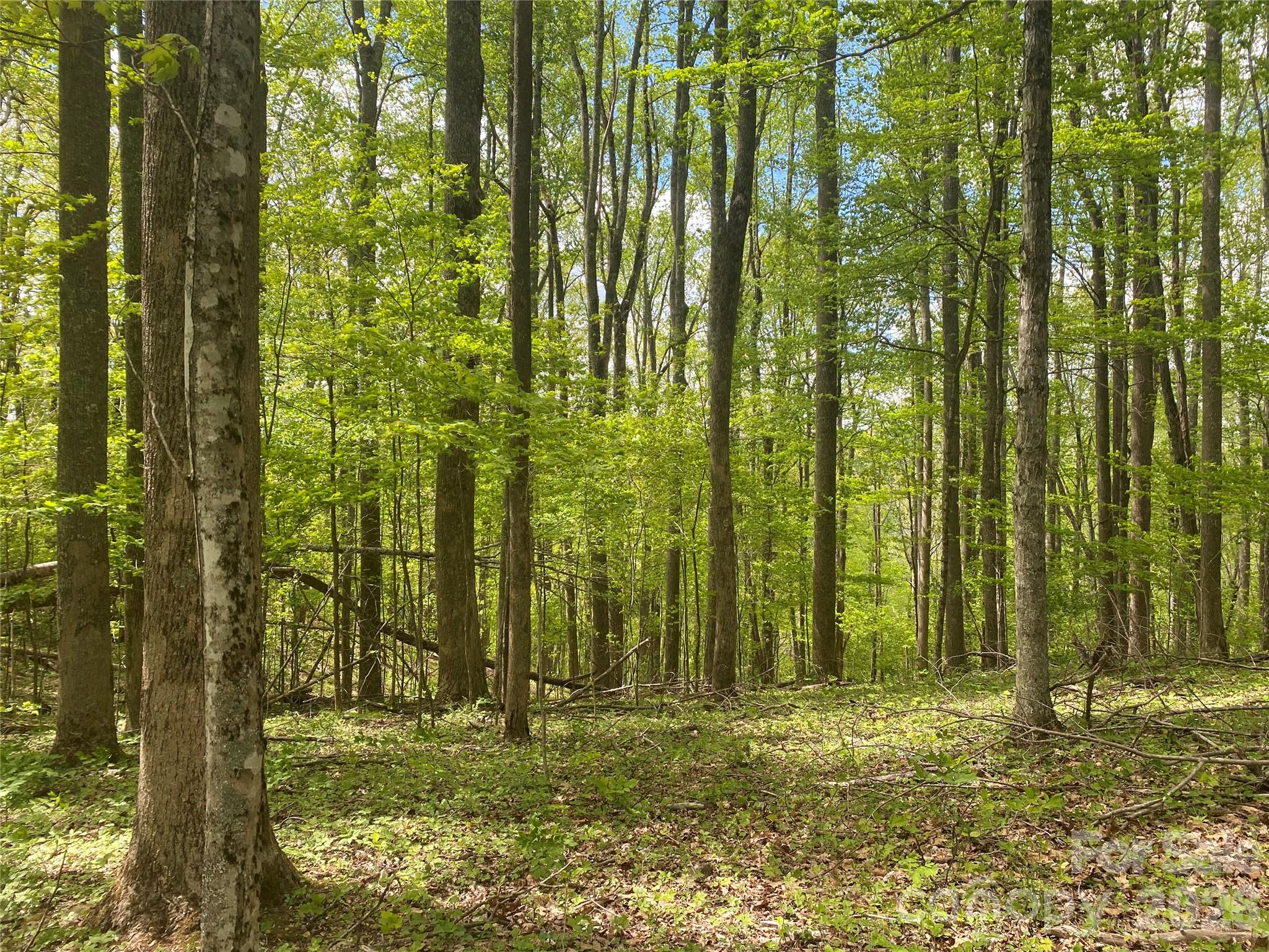 Tbd Us 23 Highway Mars Hill NC 28754