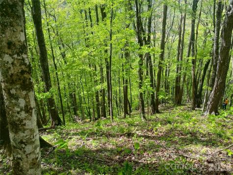 Tbd Us 23 Highway Mars Hill NC 28754