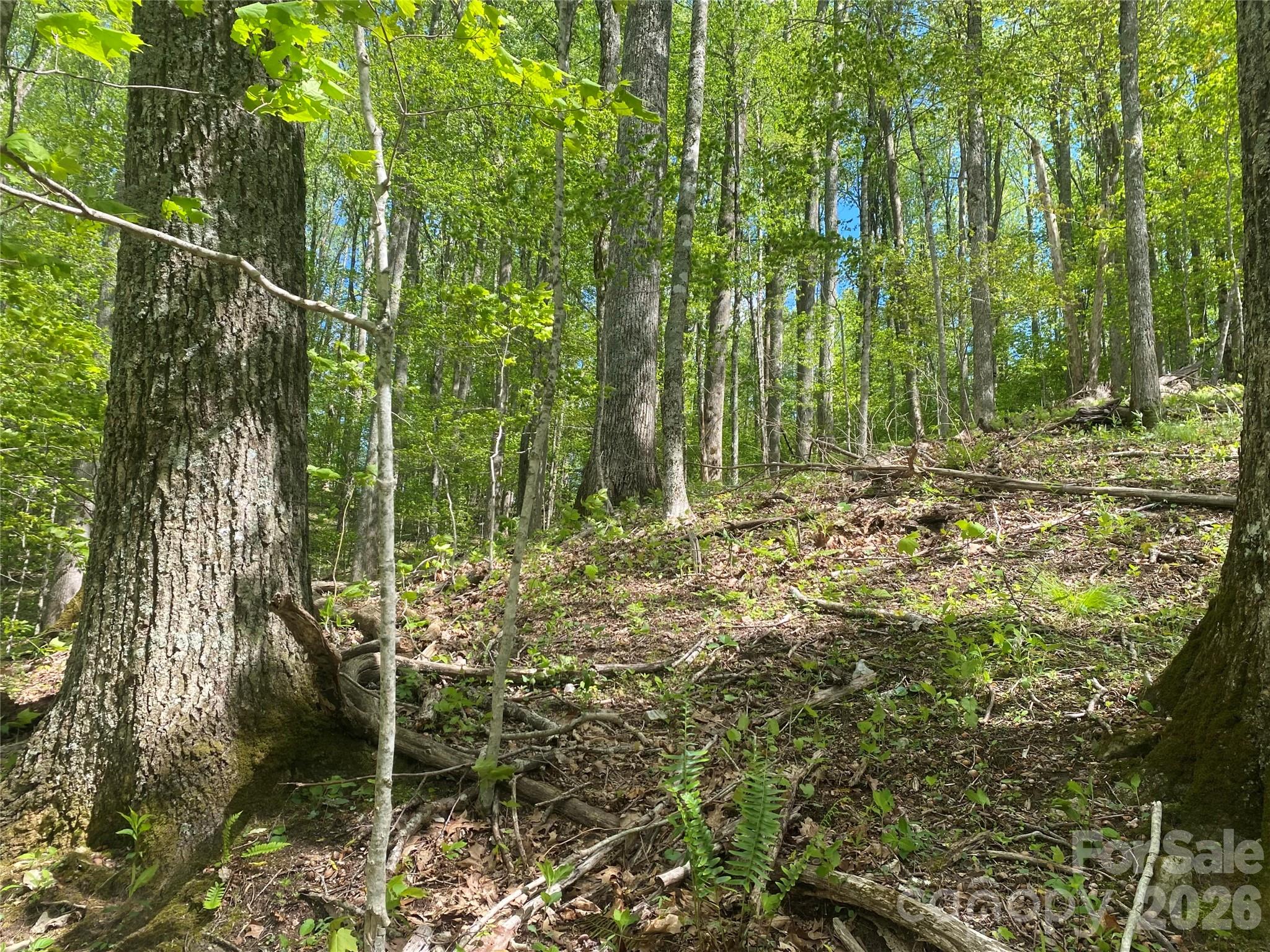 Tbd Us 23 Highway Mars Hill NC 28754