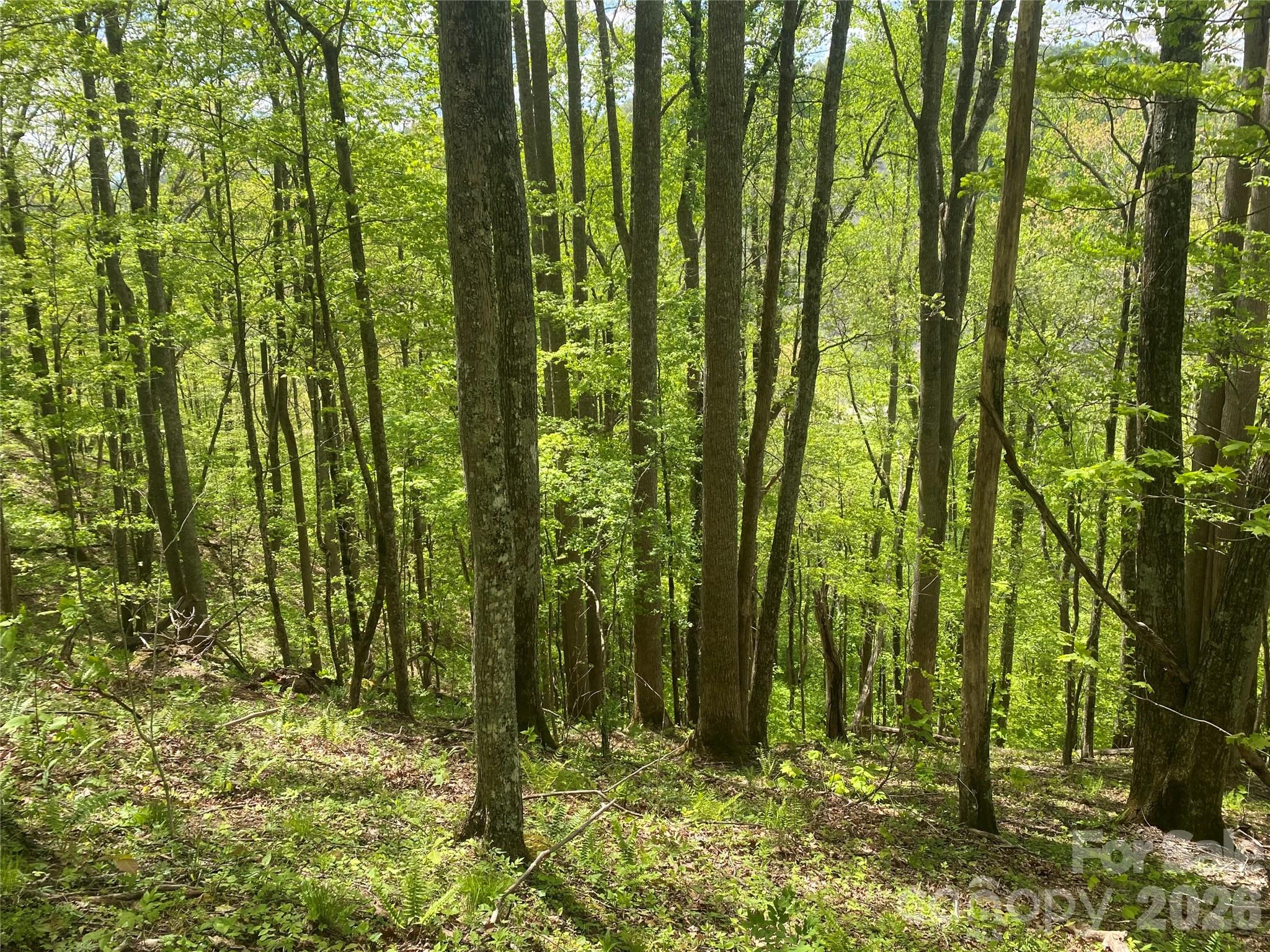 Tbd Us 23 Highway Mars Hill NC 28754