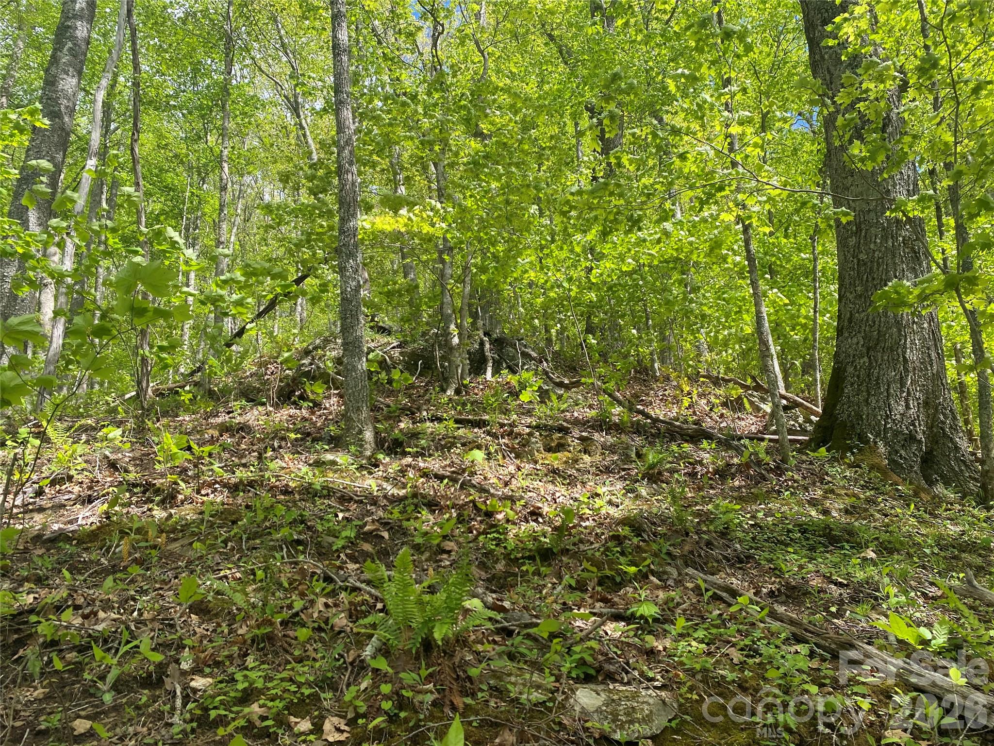 Tbd Us 23 Highway Mars Hill NC 28754