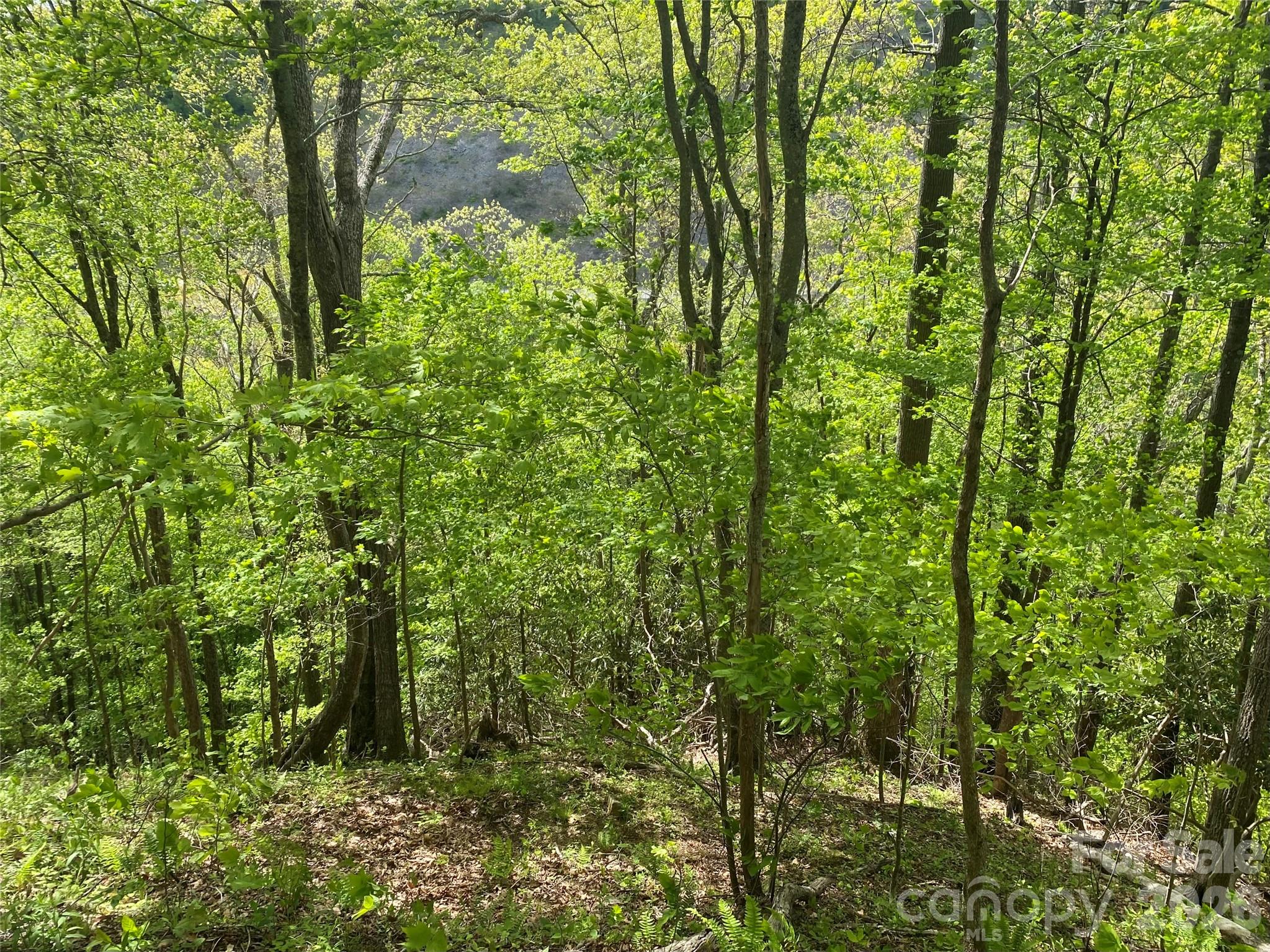 Tbd Us 23 Highway Mars Hill NC 28754