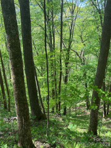Tbd Us 23 Highway Mars Hill NC 28754