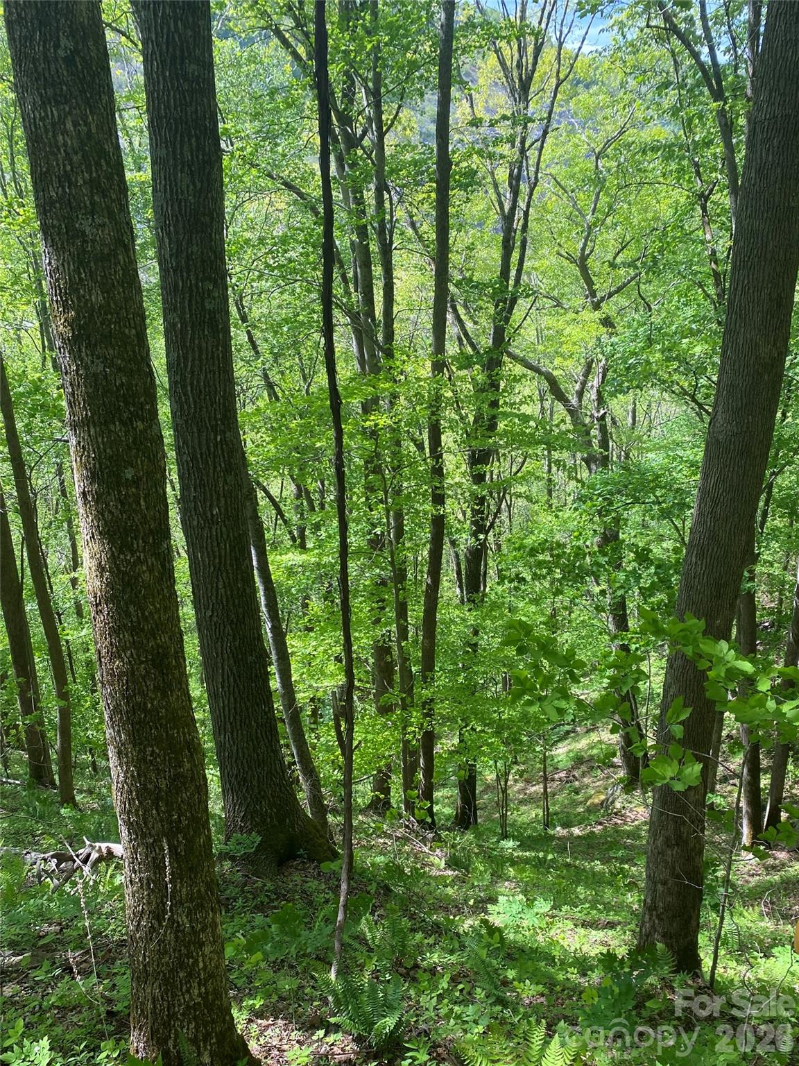 Tbd Us 23 Highway Mars Hill NC 28754
