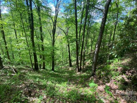 Tbd Us 23 Highway Mars Hill NC 28754