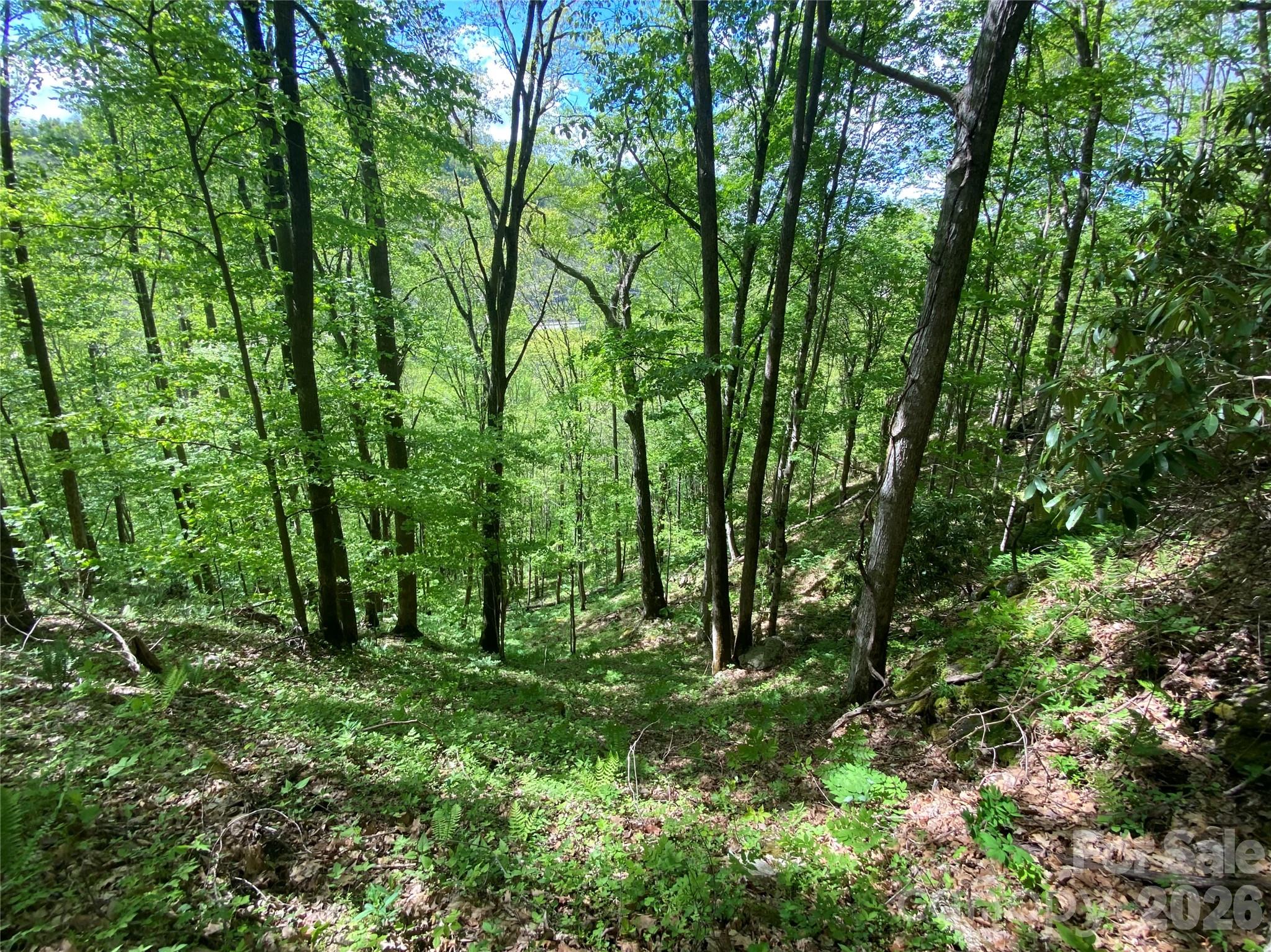 Tbd Us 23 Highway Mars Hill NC 28754