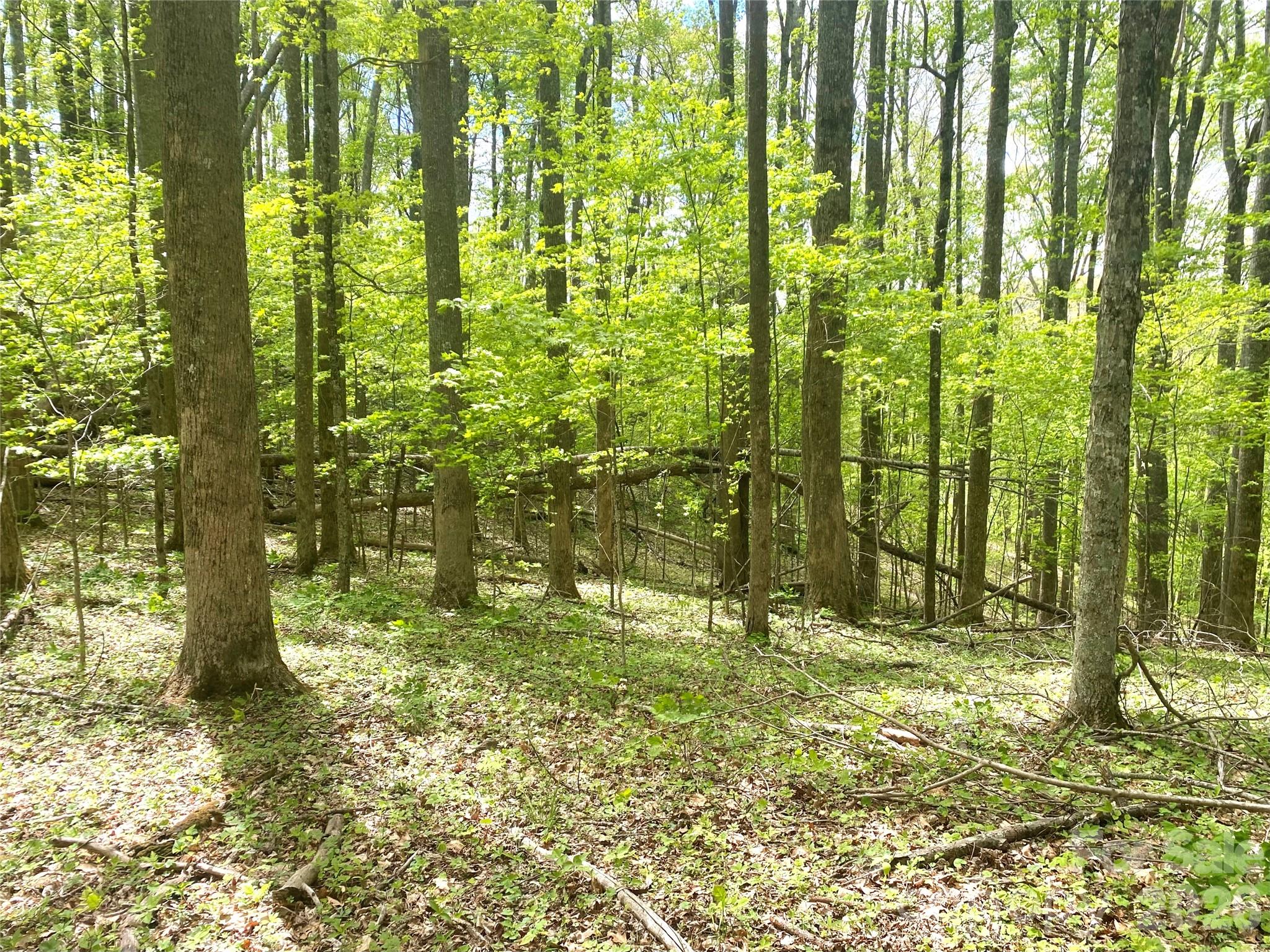Tbd Us 23 Highway Mars Hill NC 28754