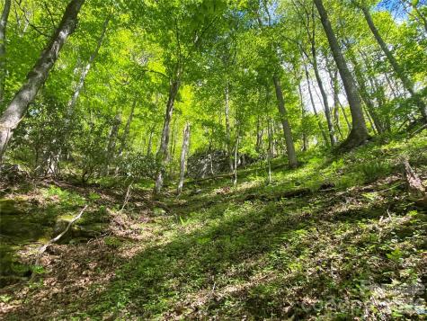 Tbd Us 23 Highway Mars Hill NC 28754