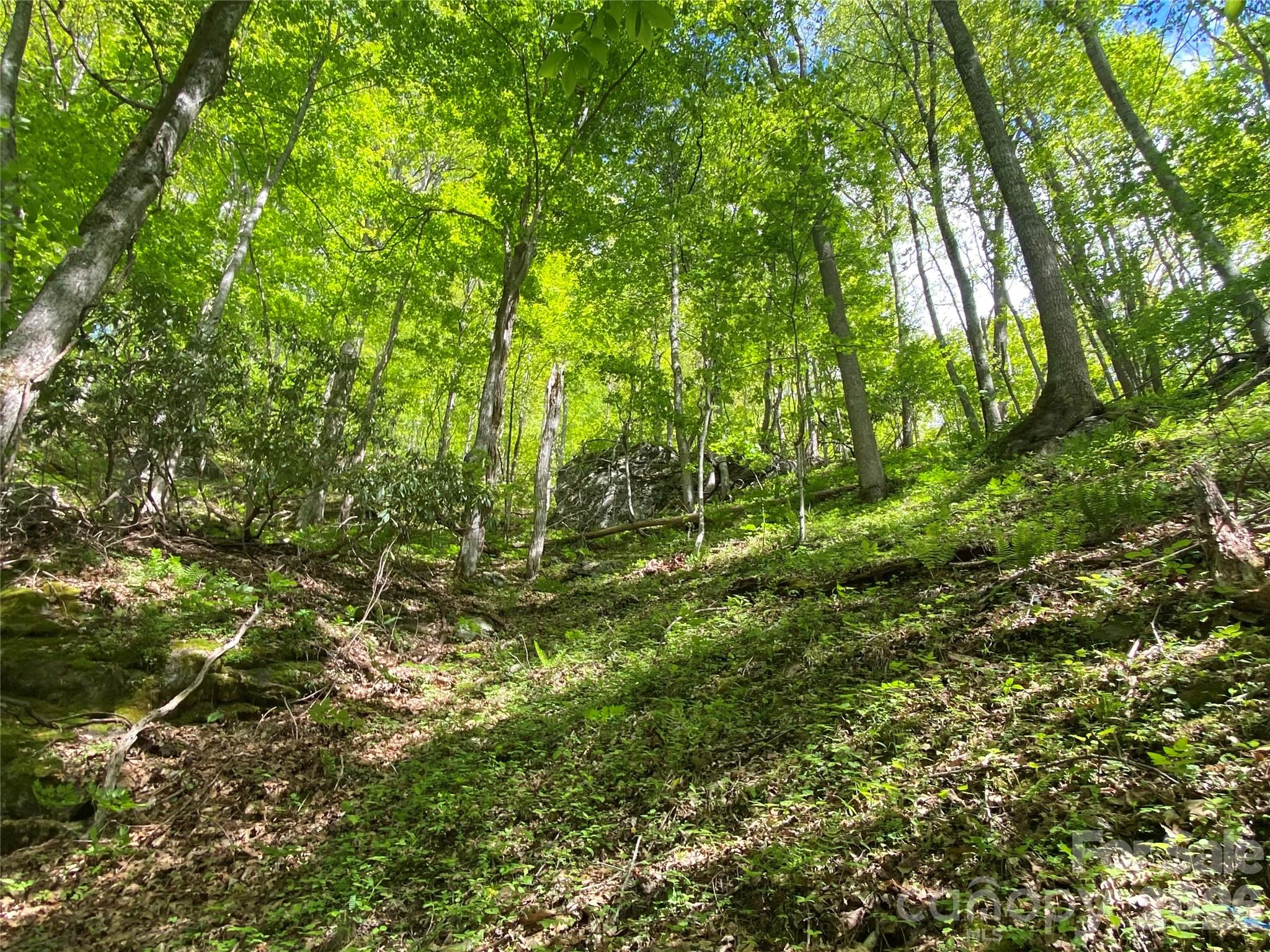 Tbd Us 23 Highway Mars Hill NC 28754