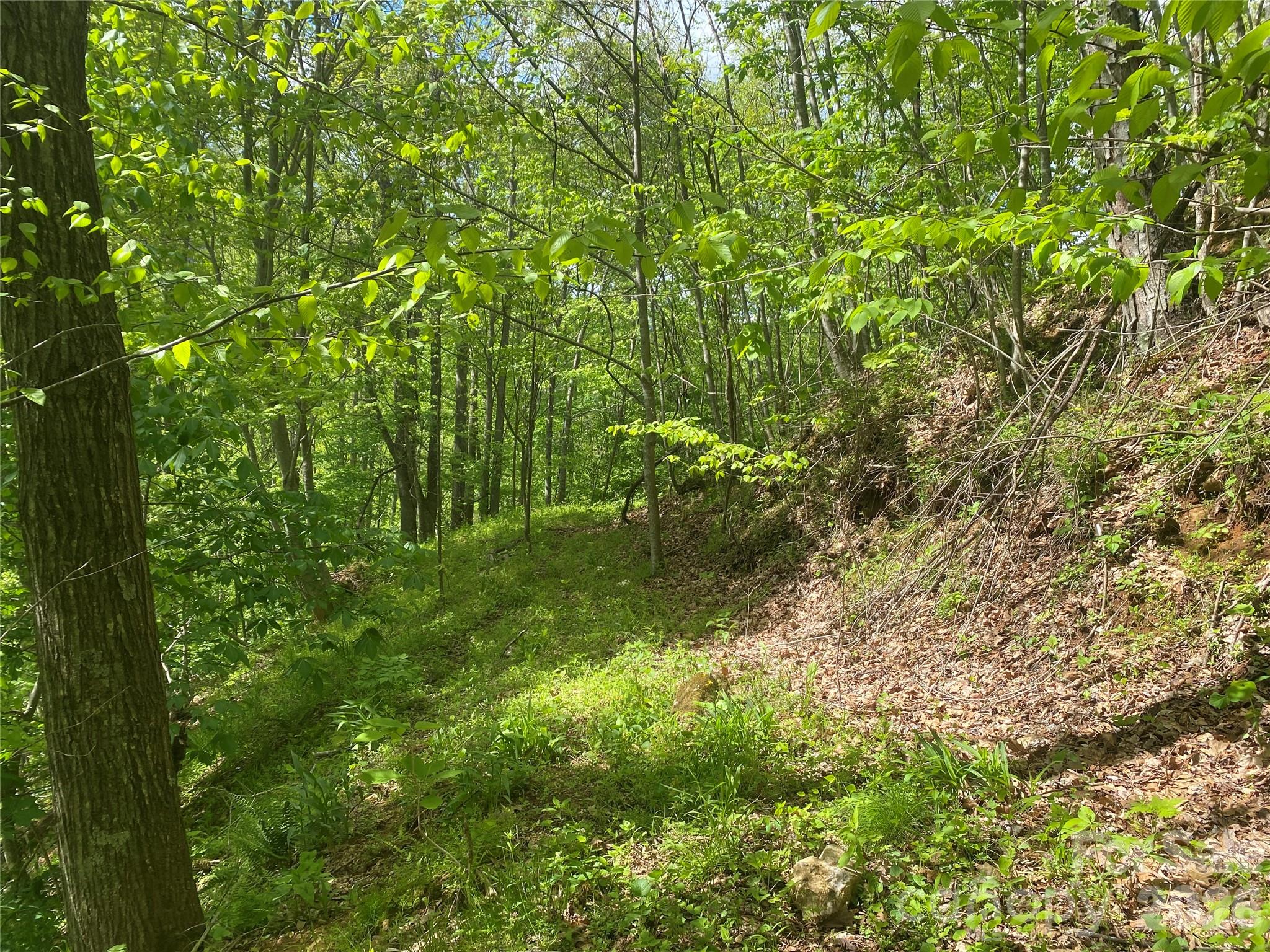 Tbd Us 23 Highway Mars Hill NC 28754