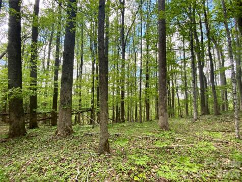 Tbd Us 23 Highway Mars Hill NC 28754