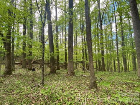 Tbd Us 23 Highway Mars Hill NC 28754