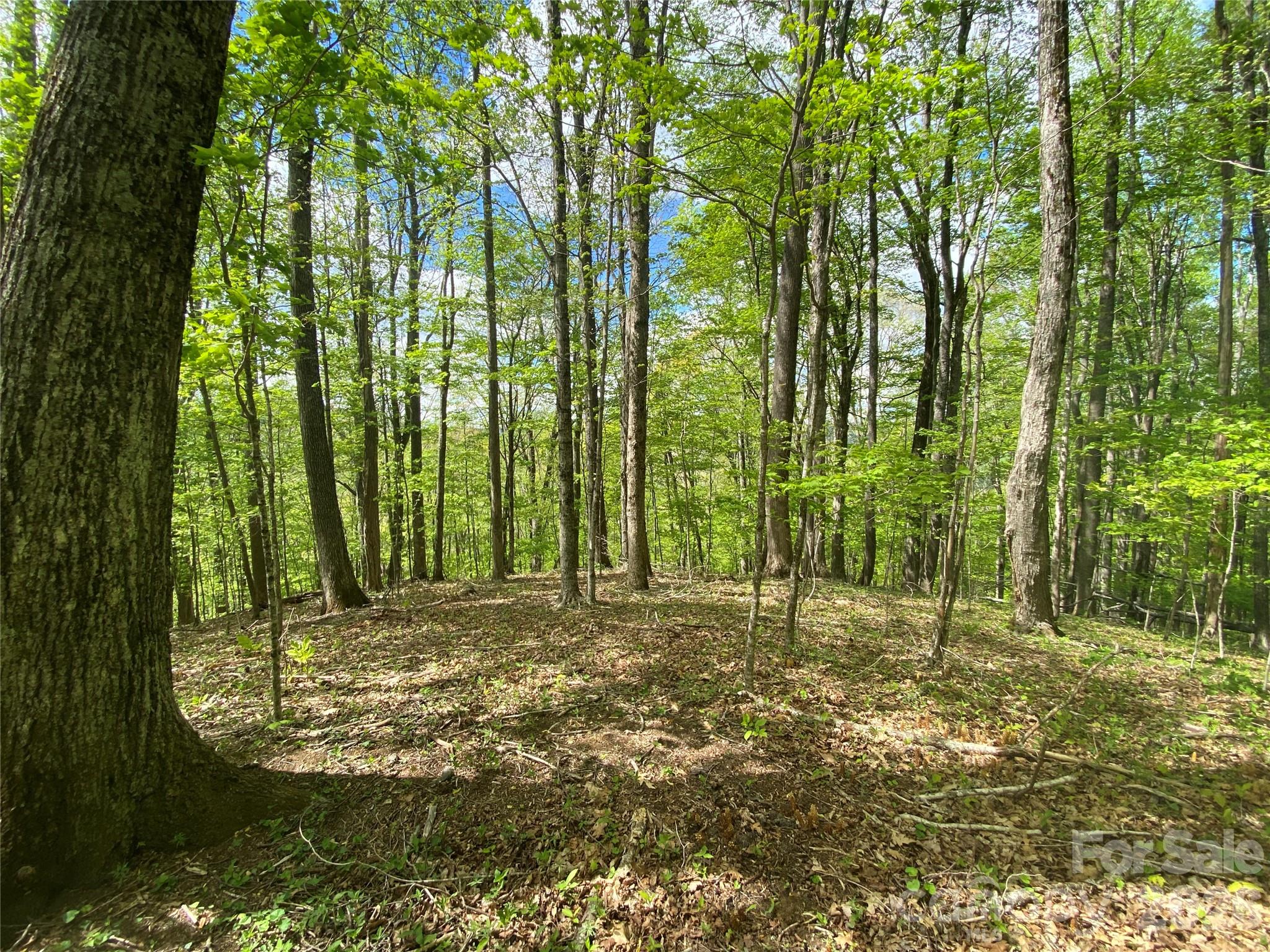 Tbd Us 23 Highway Mars Hill NC 28754