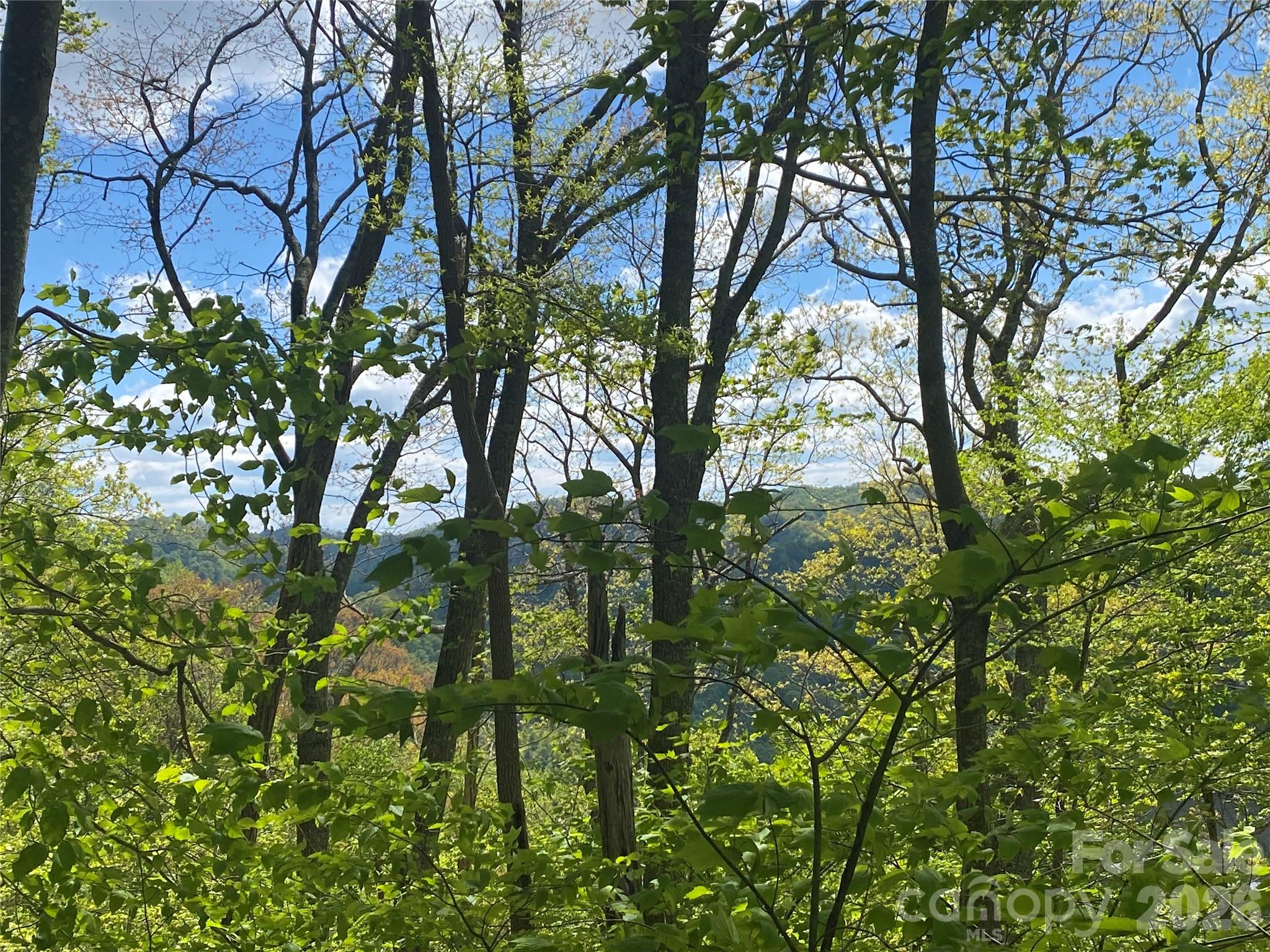 Tbd Us 23 Highway Mars Hill NC 28754