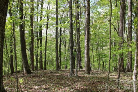 Tbd Us 23 Highway Mars Hill NC 28754