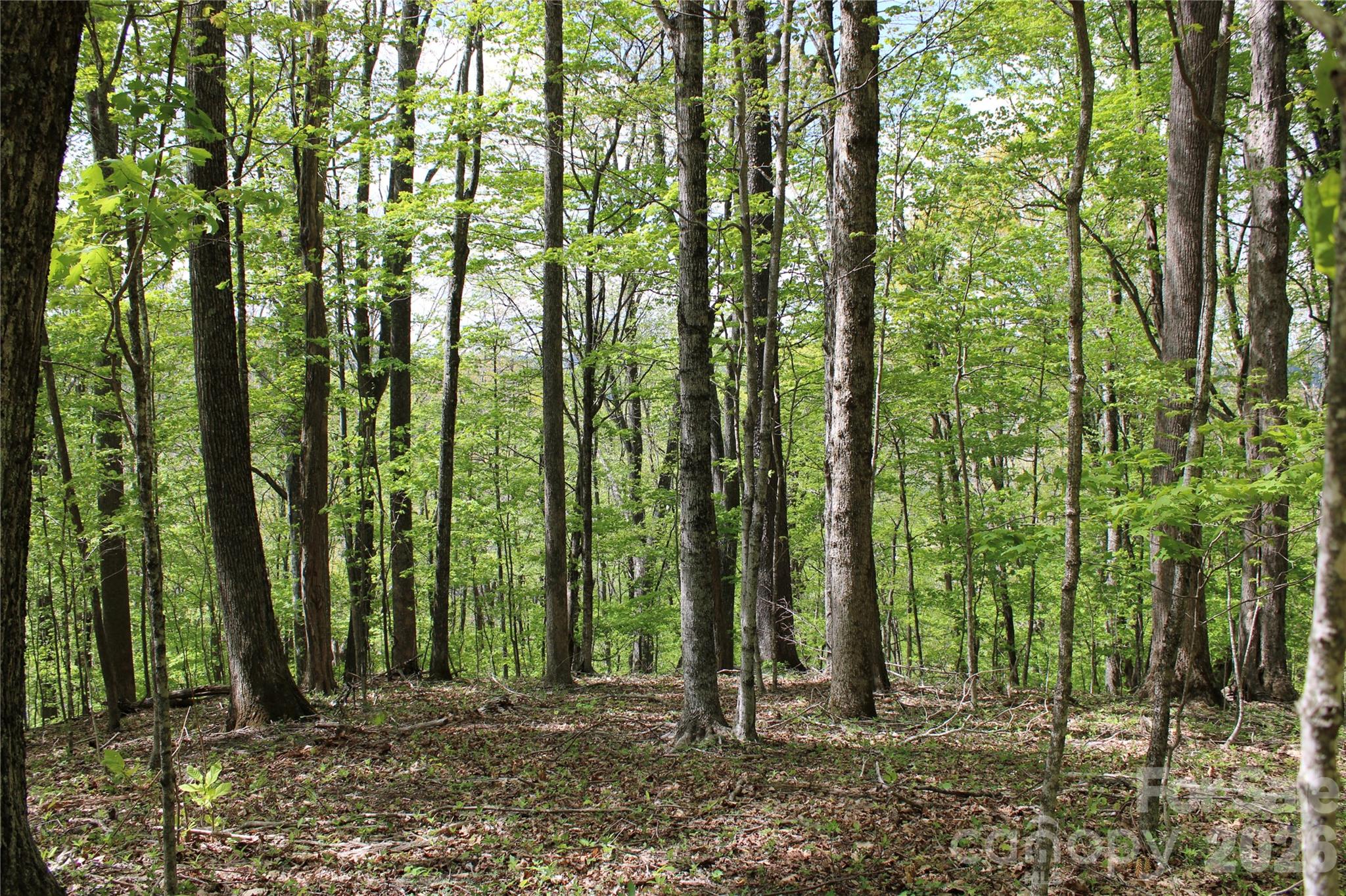 Tbd Us 23 Highway Mars Hill NC 28754