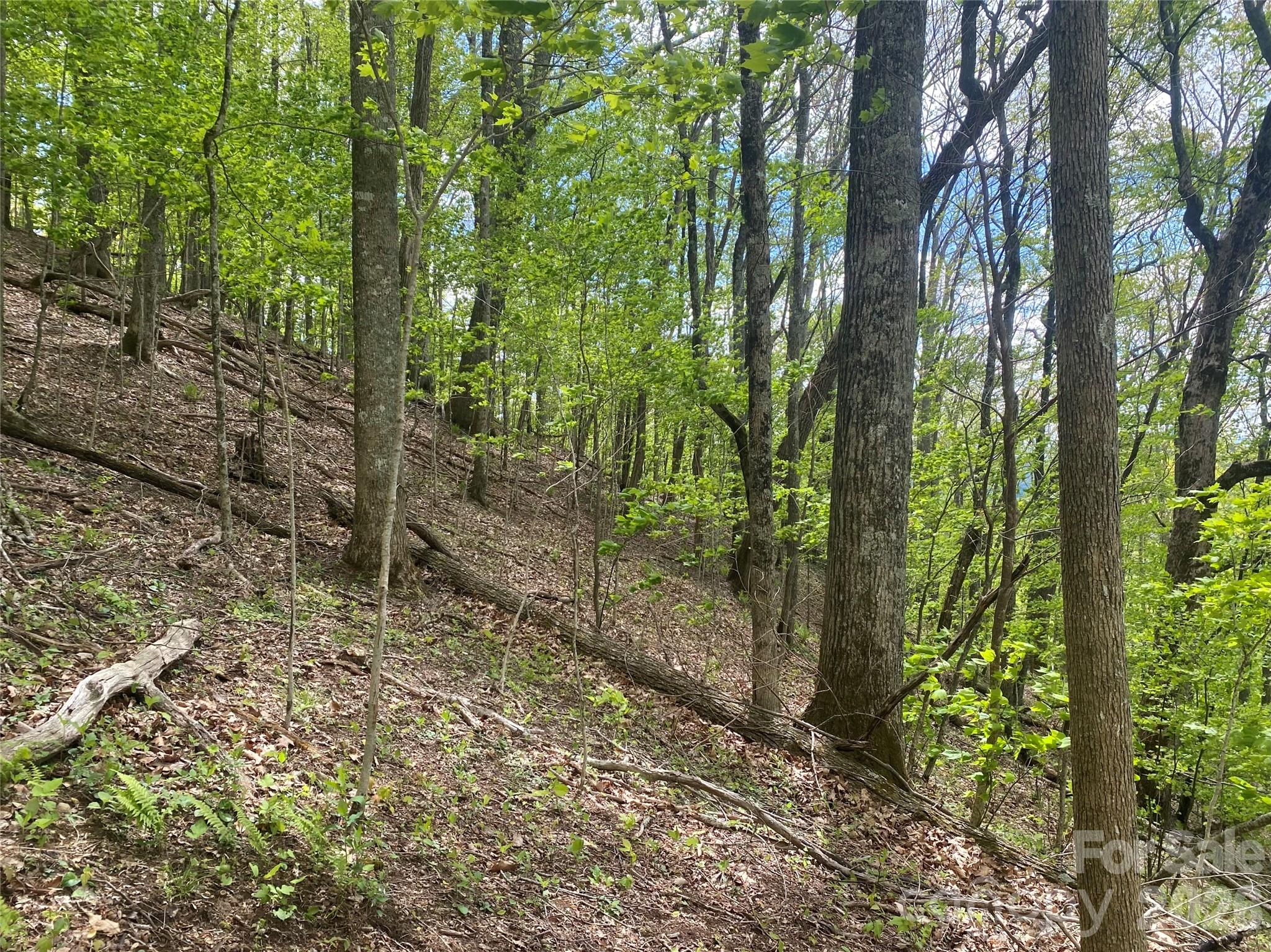 Tbd Us 23 Highway Mars Hill NC 28754