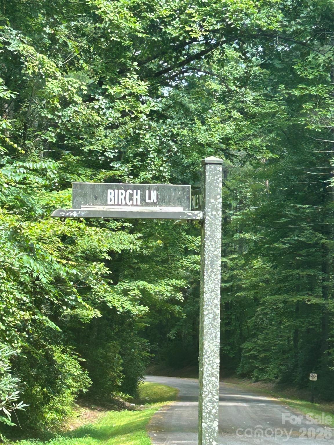 Lot 37 Birch Lane Rosman NC 28772