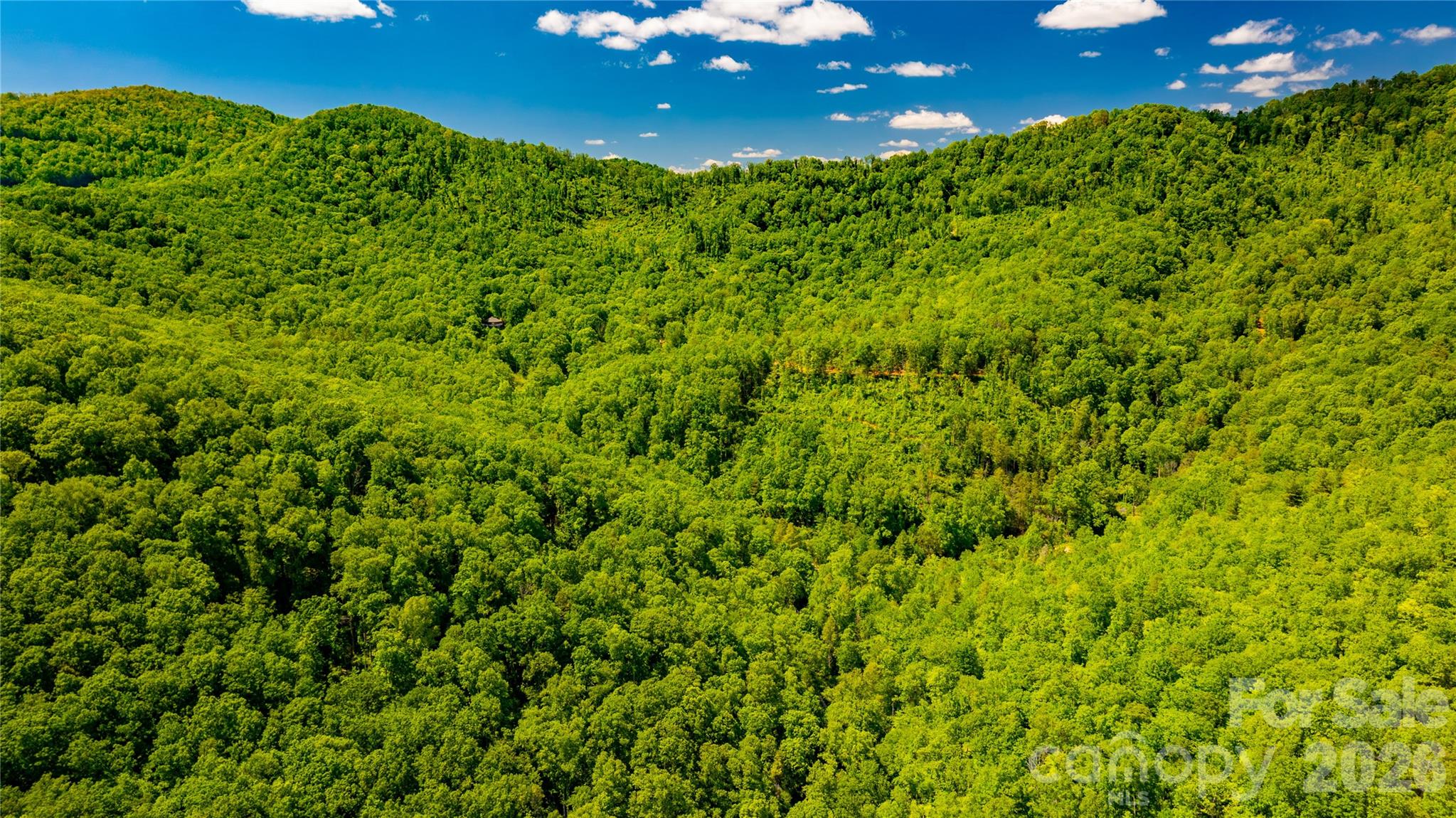214 Ballard Creek Road Fairview NC 28730