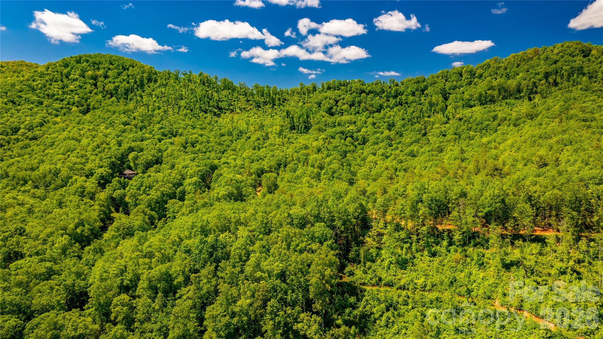 214 Ballard Creek Road Fairview NC 28730