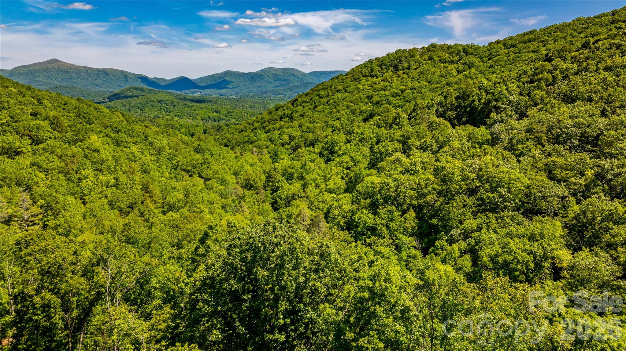 214 Ballard Creek Road Fairview NC 28730