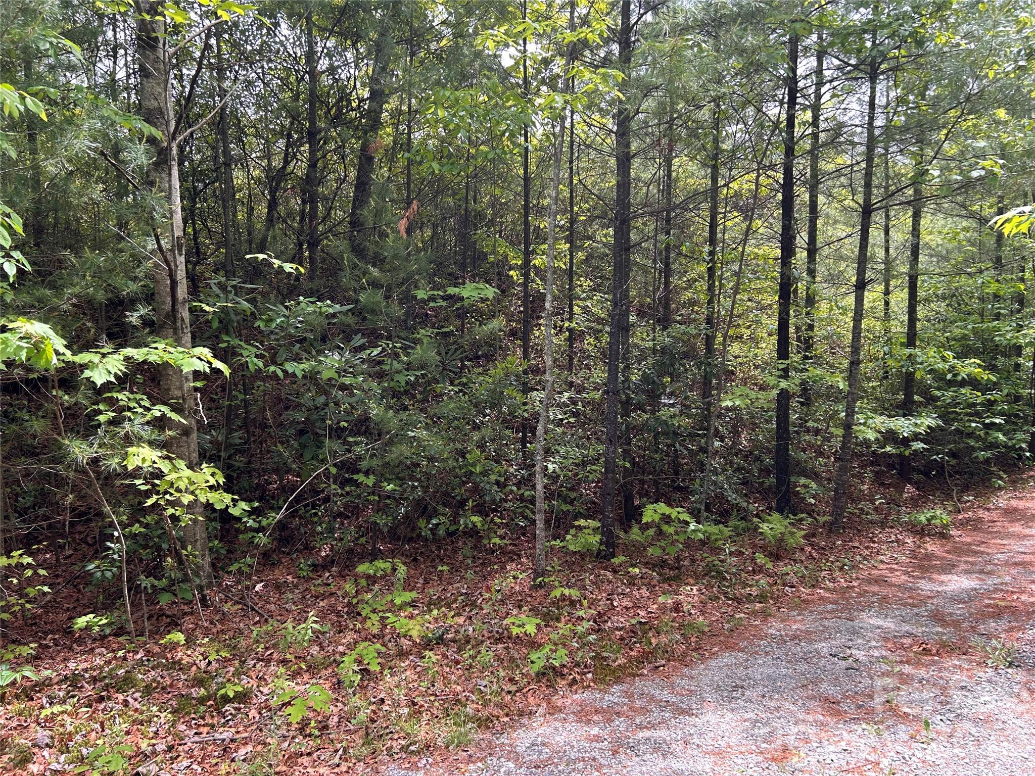 1054 Hawk Mountain Road Lake Toxaway NC 28747