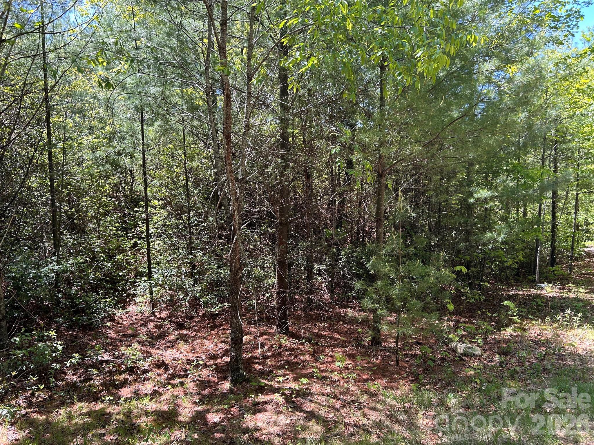 1054 Hawk Mountain Road Lake Toxaway NC 28747