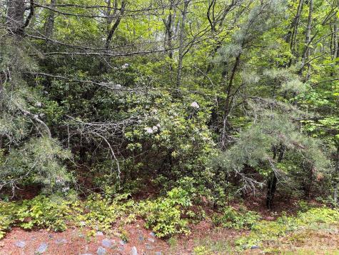 1054 Hawk Mountain Road Lake Toxaway NC 28747