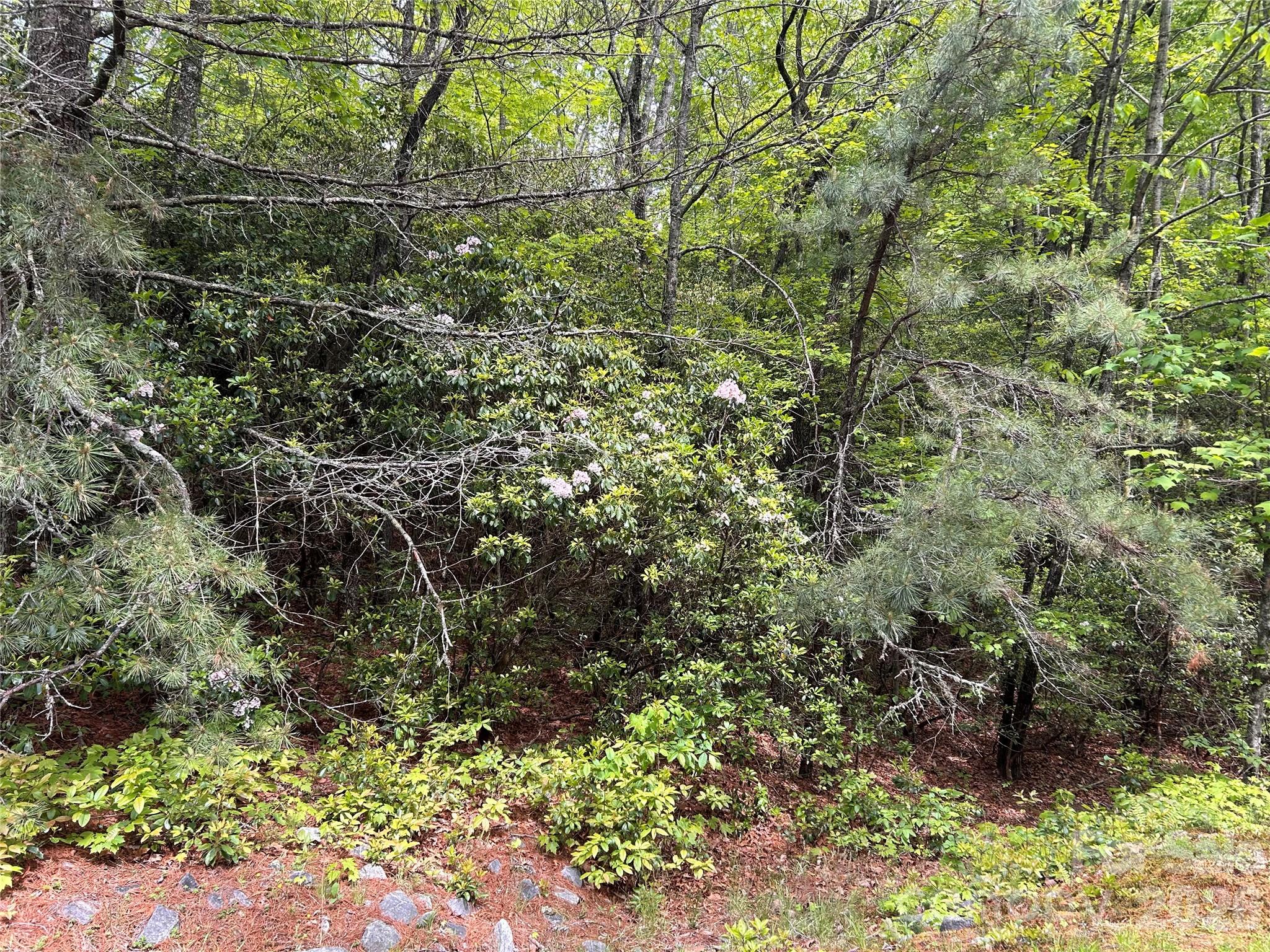 1054 Hawk Mountain Road Lake Toxaway NC 28747